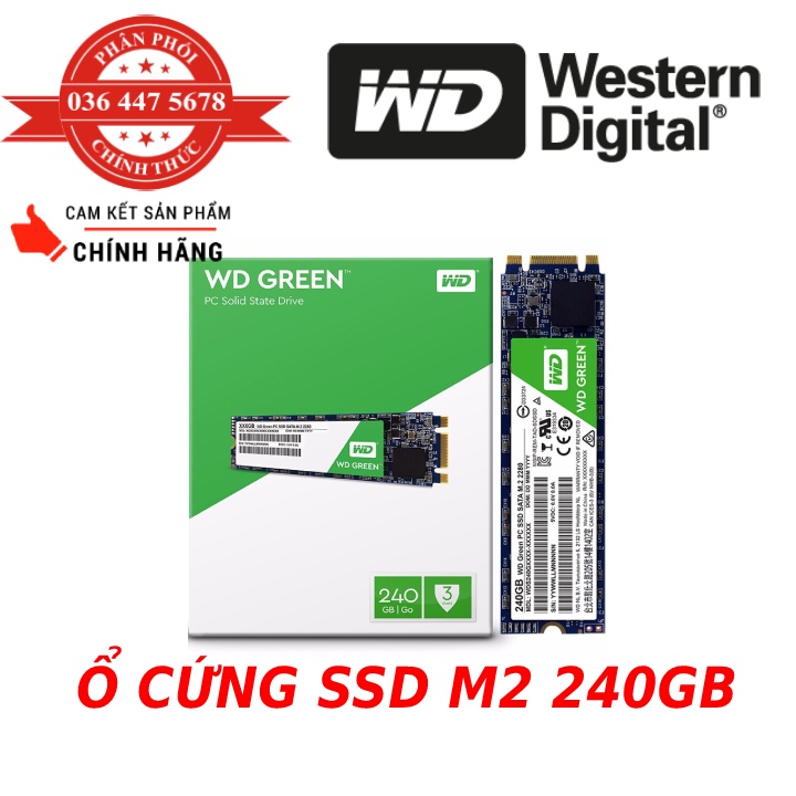 Ổ cứng SSD 240GB WD Green M2 Minh Thông-Bảo hành 3 năm