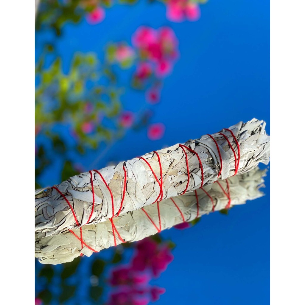 White Sage_Thanh Tẩy Năng Lương Tiệu Cực - THẢO MỘC XÔNG NHÀ