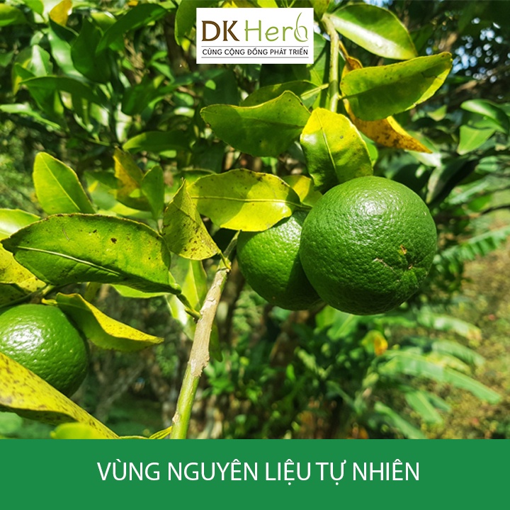 Tinh dầu vỏ Quýt 10ml Việt Nam nguyên chất DK Herb - Kiểm nghiệm GCMS