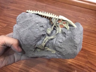 XƯƠNG KHỦNG LONG HOÁ THẠCH - DIG A DINOSAUR SKELETON