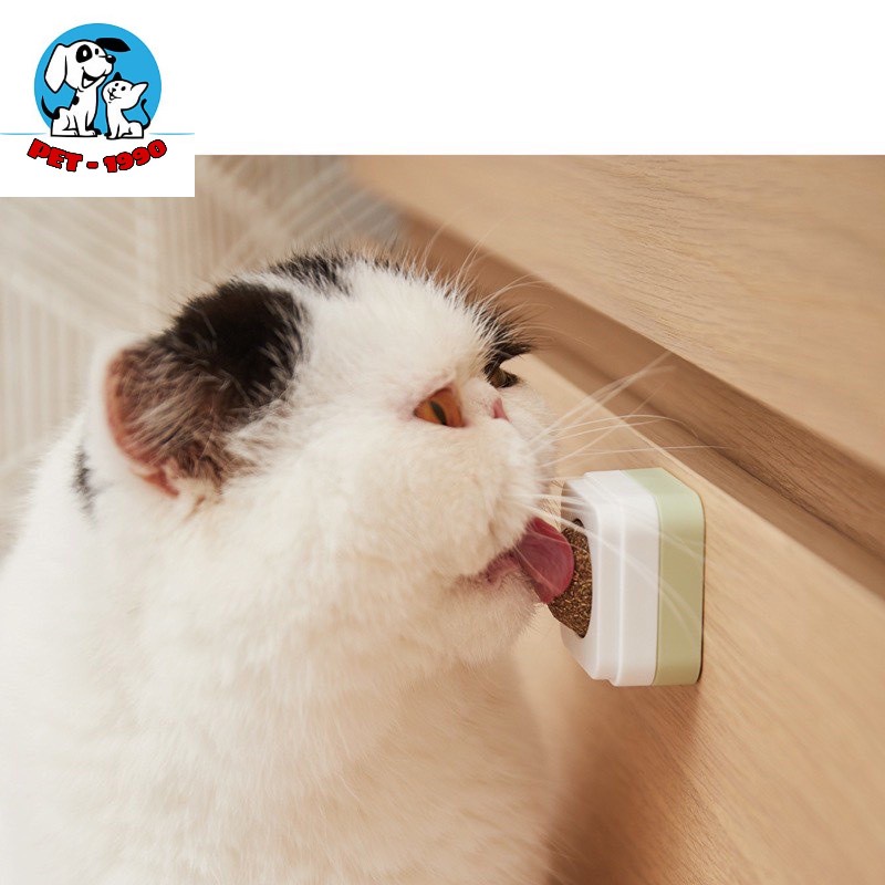 CATNIP - Viên Cỏ Bạc Hà Cho Mèo Gắn Tường  Giảm Stress - Hỗ Trợ Tiêu Hóa - Tiêu Búi Lông - Cân Bằng Dinh Dưỡng Cho Mèo