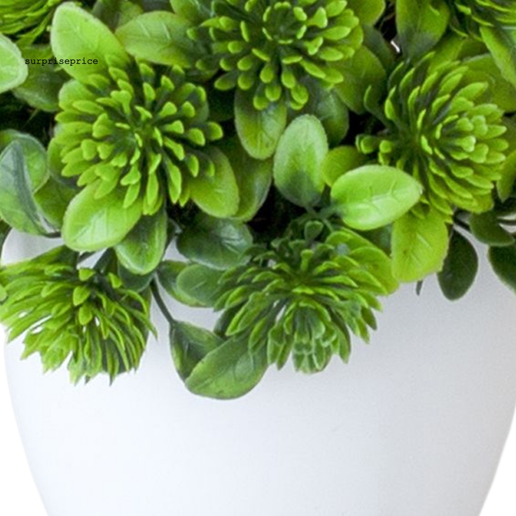 Chậu Cây Bonsai Giả Trang Trí Văn Phòng