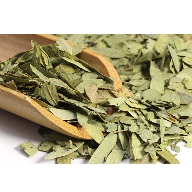 Phan Tả Diệp  - Trợ Tiêu Hóa, Táo Bón, Giải Độc Gan