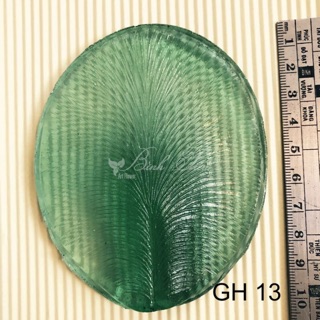 Gân hoa đất sét- gân cánh hoa lan