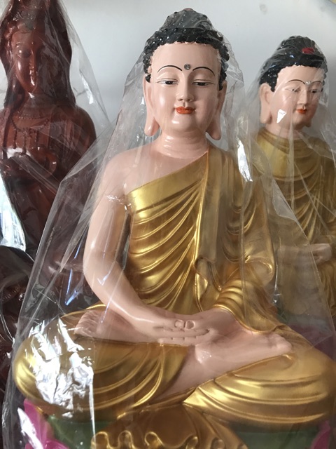 Tượng bổn sư thích ca mau ni phật