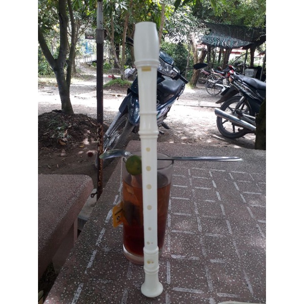 Sáo recorder học sinh pt mới