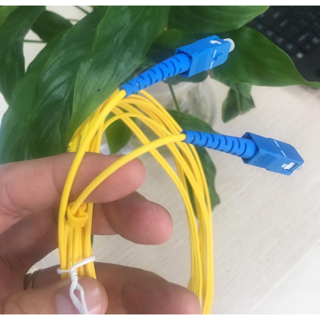 Dây nhảy quang SC - FC 3 mét