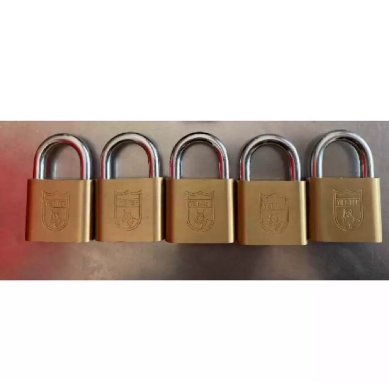 Set 5 ổ khoá VIỆT TIỆP dùng chung 1 chìa chủ