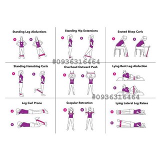 Dây Tập Mông MINI_BAND / PRO