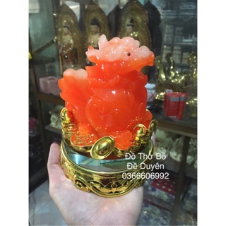 Ông tỳ hưu cam đỏ