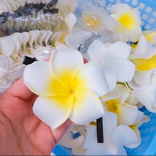 Bông hoa đại, hoa sứ kẹp cài tóc 7cm