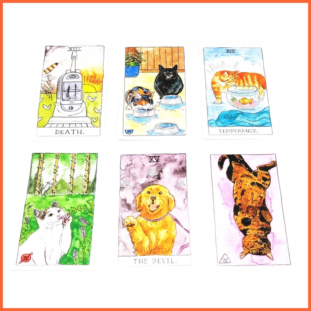 Bộ Bài Tarot 78 Lá Hình Mèo Bằng Tiếng Anh