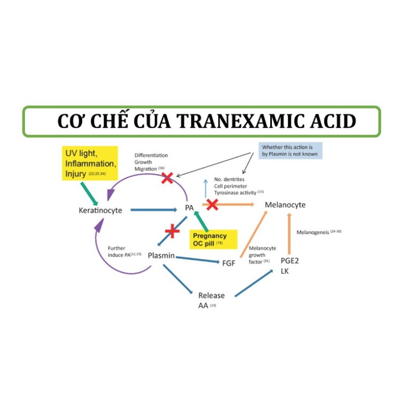 Serum làm mờ nám tàn nhang Sakura 30ml