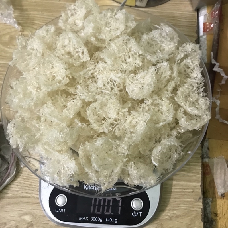 Yến sào viên sợi baby nhà làm 20g, 30g, 50g, 100g, tổ yến Nha Trang, Khánh Hoà