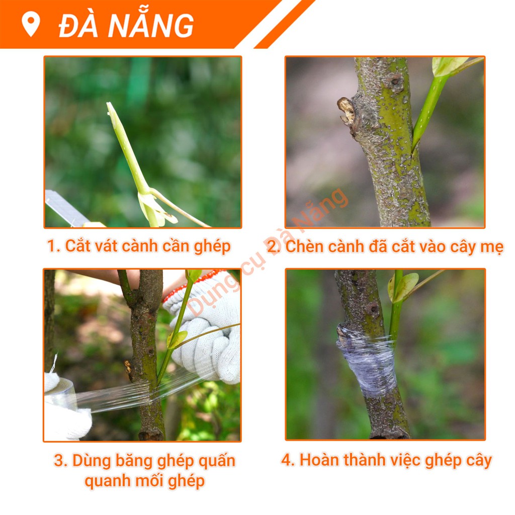 Băng keo ghép cây xanh tự dính tự hủy giúp bảo vệ mối ghép (khổ 2cm đến 6cm)