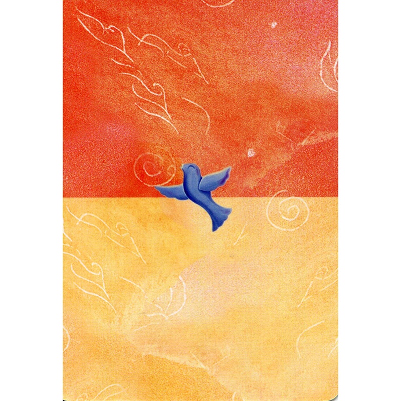 Bộ Bài Soul Coaching Oracle Cards  - Bài Gốc Authentic Chính Hãng 100%