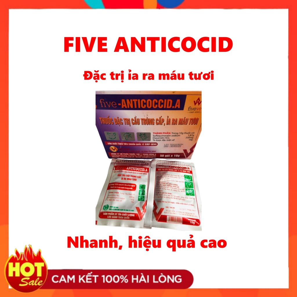 Five-anticoccid.a - Đặc trị cầu trùng cấp, ỉa ra máu tươi - Thuốc Thú Y & BVTV Minh Tuệ