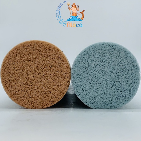 Thùng 12 thanh vật liệu lọc bể cá DODOFLY JUNTONG-1 8x25cm