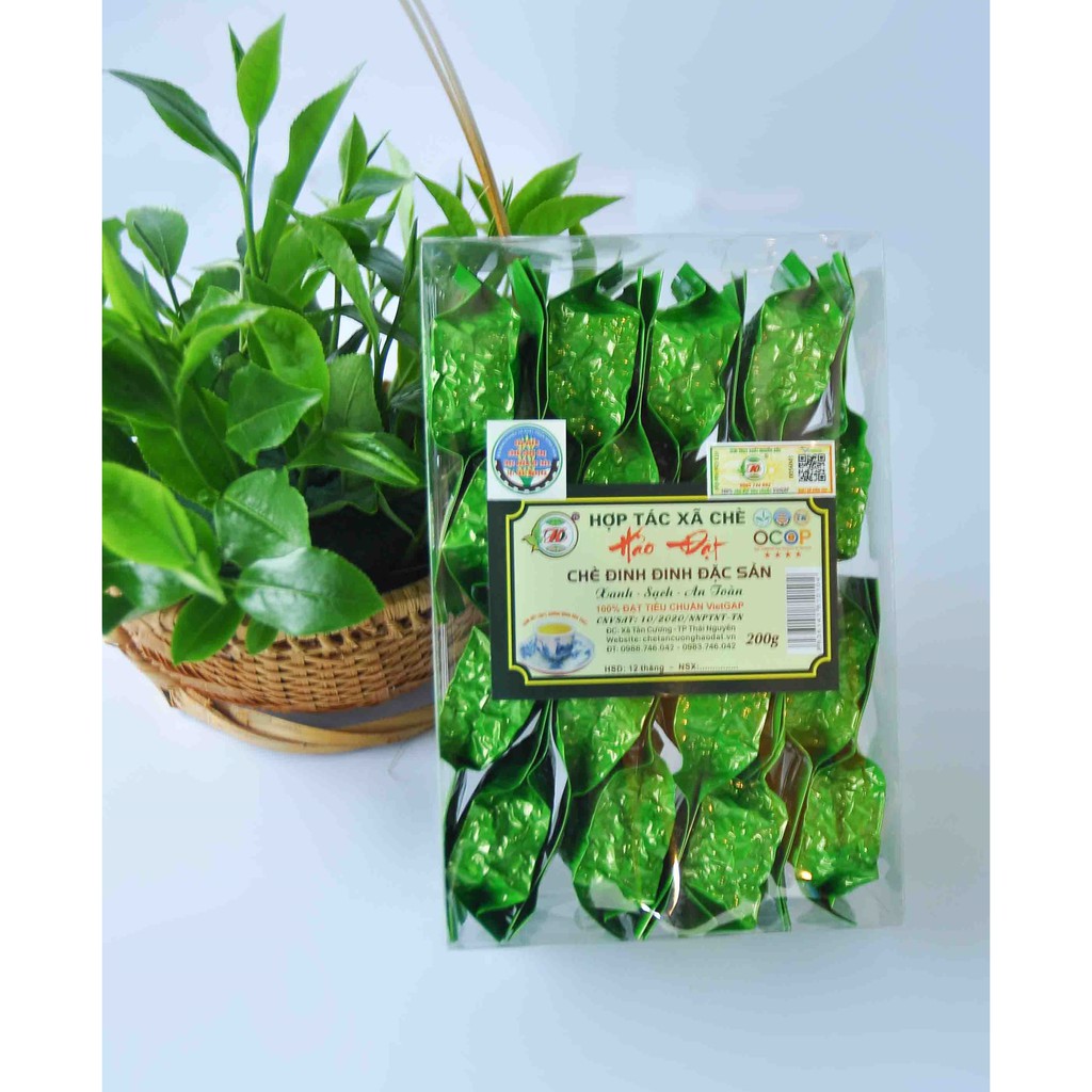 Chè Đặc Sản Tân Cương - Hợp Tác Xã Chè Hảo Đạt - Chè Tân Cương Thái Nguyên
