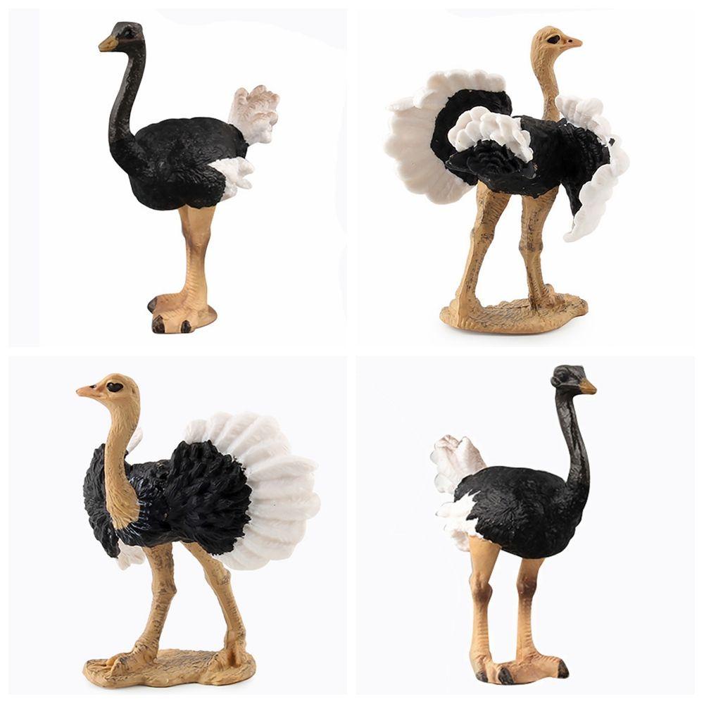 Mô Hình Chim Đà Điểu Đồ Chơi Giáo Dục Khoa Học &amp; Hoang Dã Sống Động Như Thật