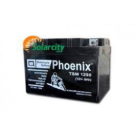 BÌNH ẮC QUY 12V-12Ah - MỚI - CHÍNH HÃNG PHOENIX