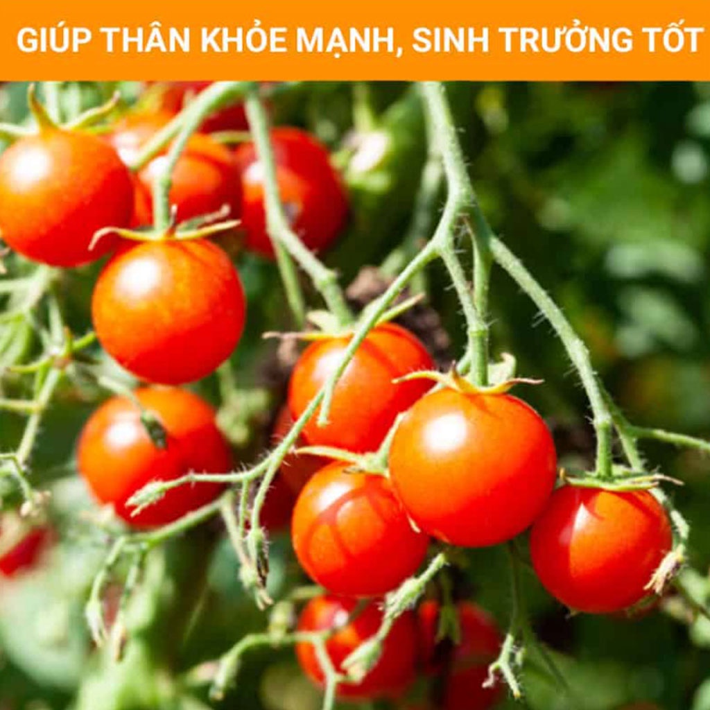 Muối Epsom  Bón Cây Trồng - Dùng Trong Nông Nghiệp Gói 500 Gram