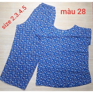 Bộ lửng Tole Thái size 2-3:45-60 kg