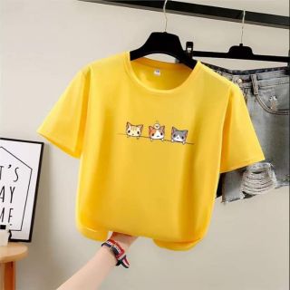 Áo phông vàng free size no brand