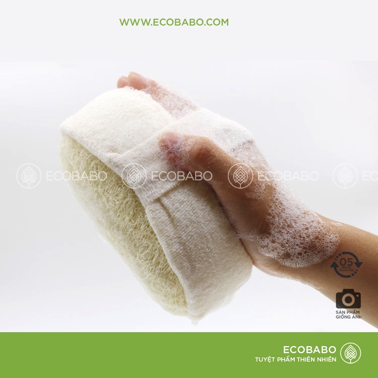 Bông tắm xơ mướp tự nhiên 2 mặt với đệm tạo bọt Ecobabo