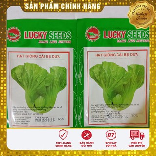 Hạt Giống Cải Bẹ Dưa(20 gr)