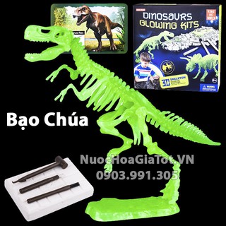 BỘ ĐỒ CHƠI KHẢO CỔ ĐÀO HÓA THẠCH 1 CON KHỦNG LONG T-REX SIZE L 25CM CÓ DẠ QUANG