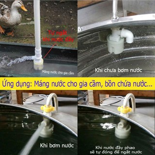Van Phao Cơ Thông MInh