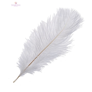 Set 10 Lông Đà Điểu Trắng Tự Nhiên 20-25cm Trang Trí Tiệc Cưới