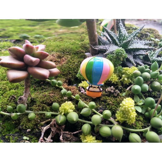 ❤❤Khinh Khí Cầu Nhiều Màu❤❤ Phụ Kiện Trang Trí Tiểu Cảnh Sen Đá, Terrarium, Decord Mô Hình, Nhà Búp Bê