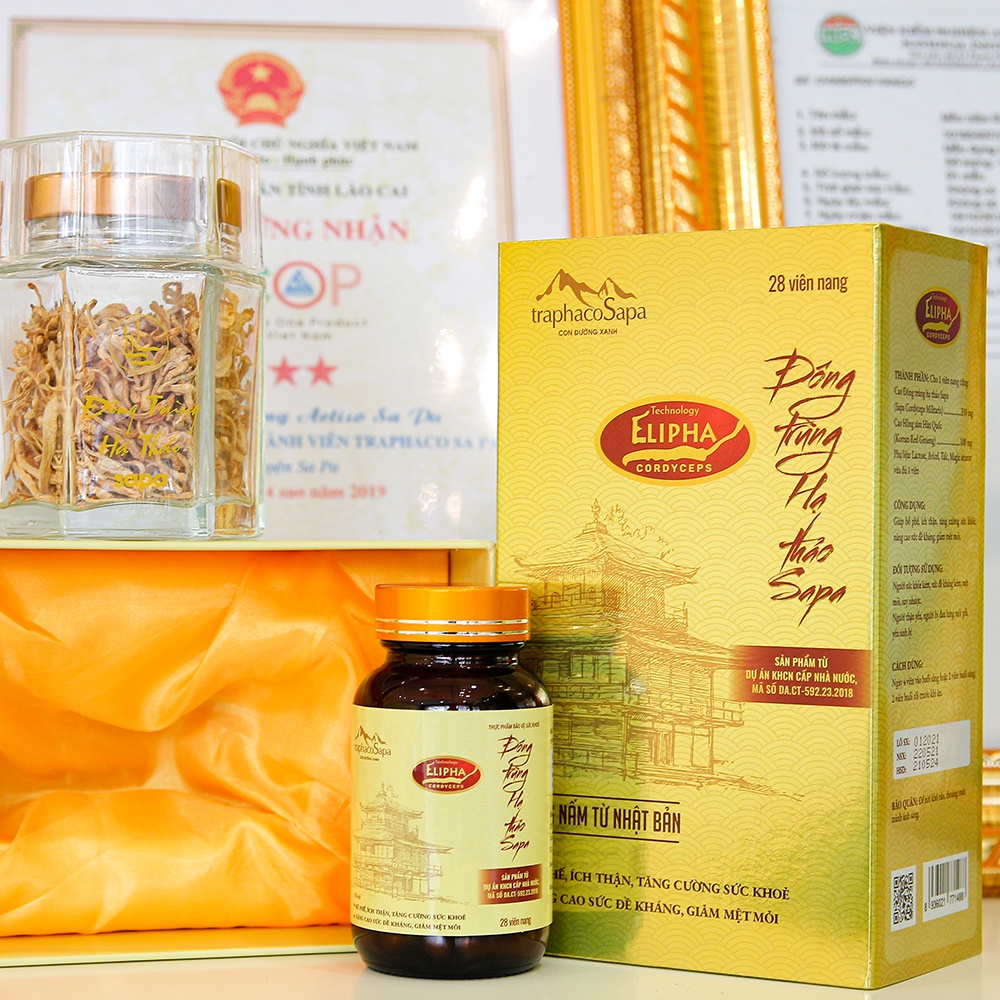Viên Nang Đông Trùng Hạ Thảo Sapa - TRAPHACOSAPA - Hộp 28 viên - Elipha Cordyceps 1234524