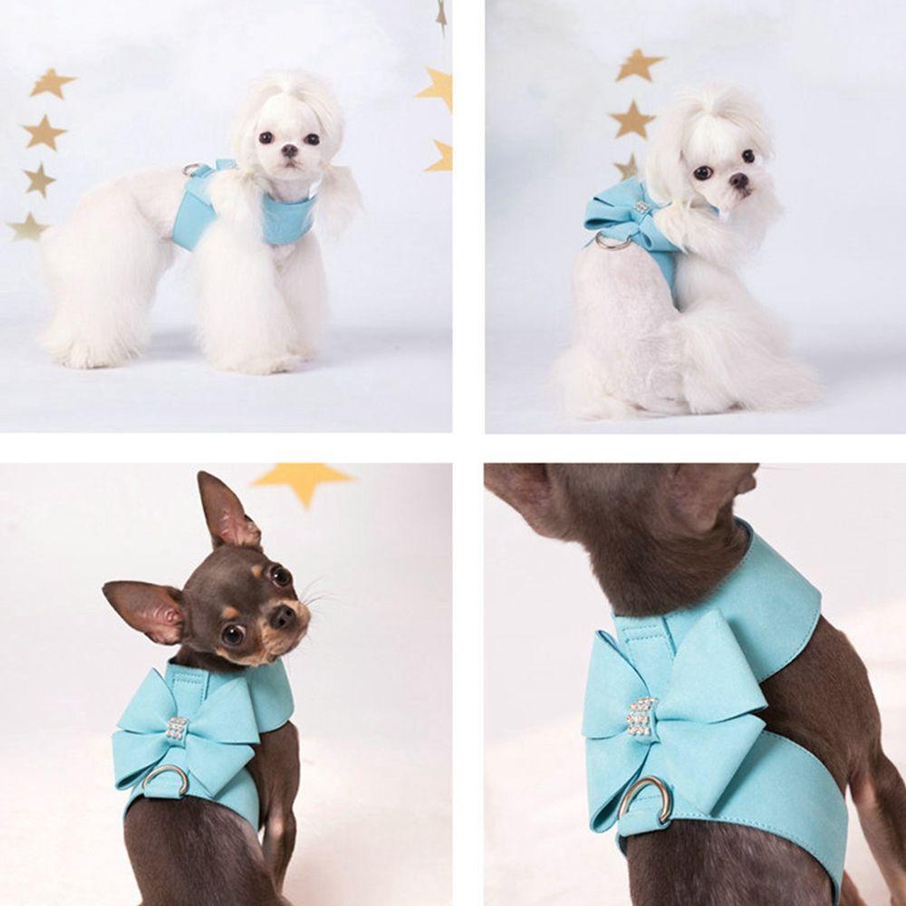 Dây Dắt Chó AUGUSTINA Lấp Lánh|Vòng Cổ MềM MạI Cho Thú Cưng Chihuahua Yorkie