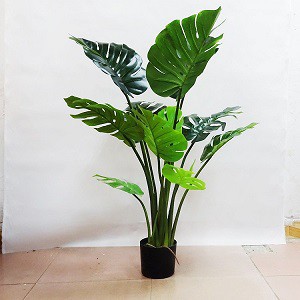 Cây giả Thổ thần