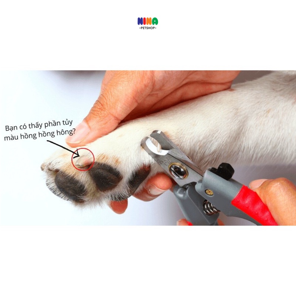 Kéo  kìm bấm cắt móng cho chó mèo thú cưng cún kèm dũa móng chân Nina pet shop