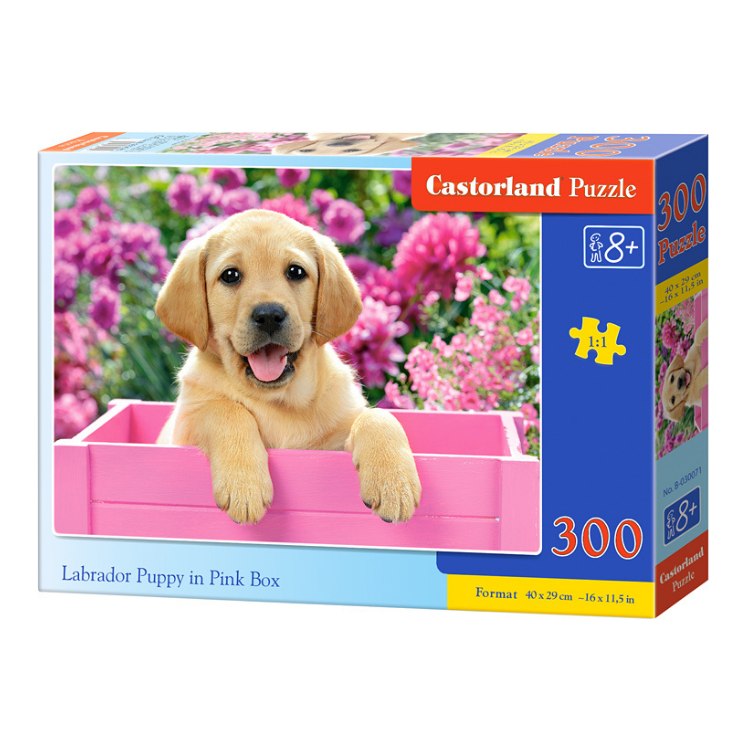 Xếp hình puzzle Labrador Puppy in Pink Box 300 mảnh CASTORLAND B-030071