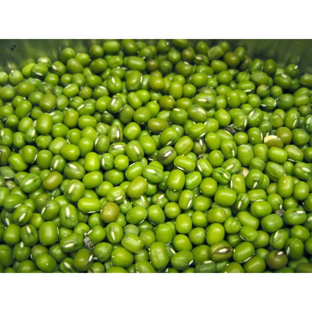 Tổng hợp Hình Ảnh Hạt Đậu Xanh Nảy Mầm giá rẻ, bán chạy tháng 5 ...