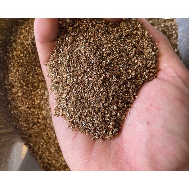 Đá vermiculite  trộn giá thể trồng cây, sen đá, xương rồng, trồng rau mầm, ươm hạt giống