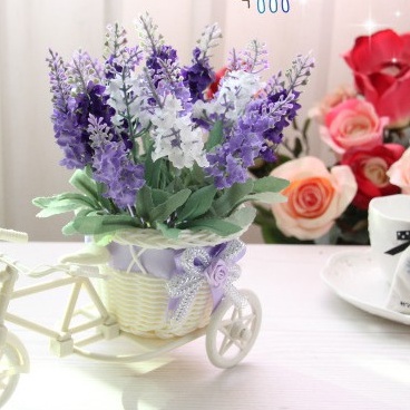 Xe đạp và giỏ hoa lavender