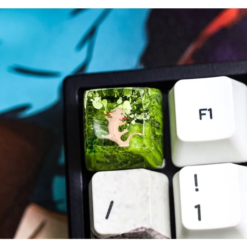Keycap lẻ kì nhông Mexico màu sắc, SA profile phù hợp cho bàn phím cơ