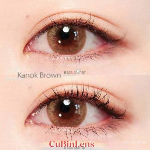 Kính áp tròng nâu mật ong - brown lens