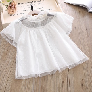 VẢI VOAN TẰM HẠT