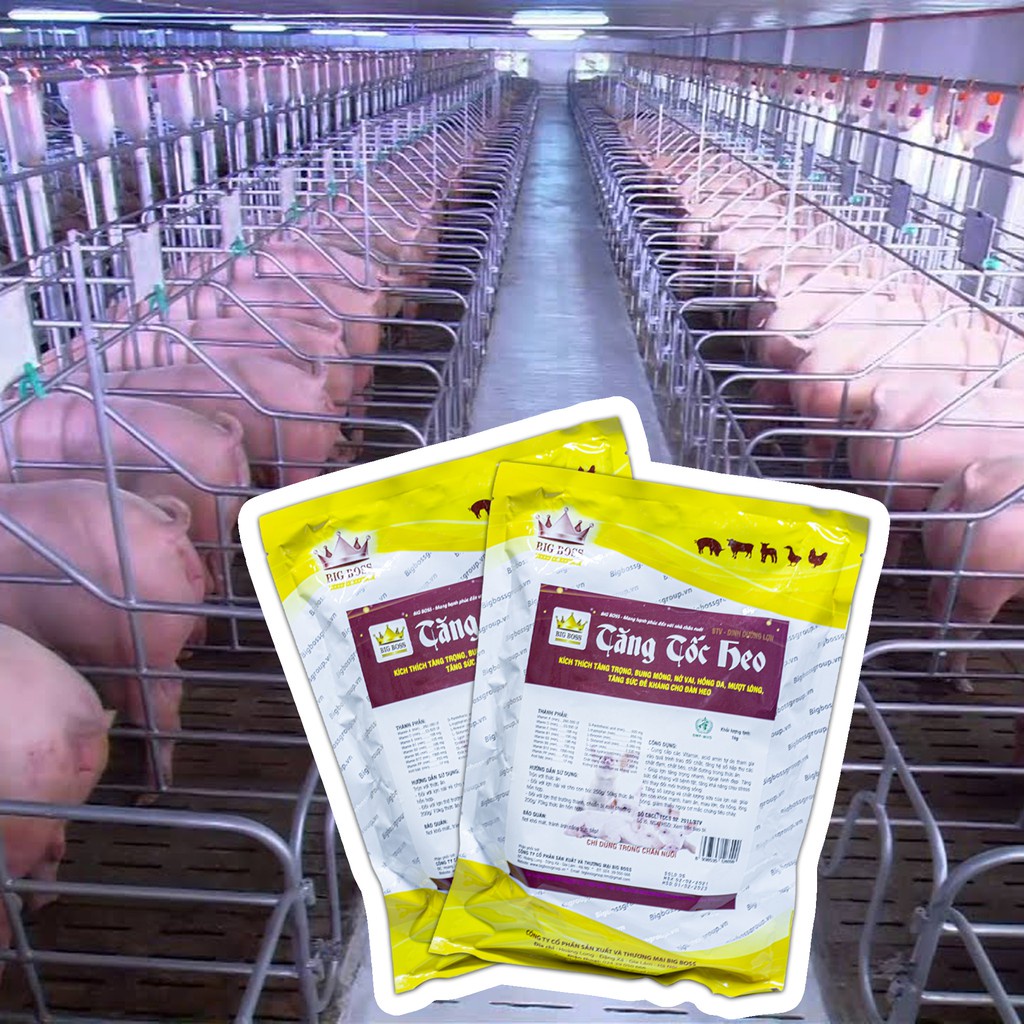 Tăng Tốc Heo 1kg Kích thích tăng trọng, vỗ béo heo, vỗ béo lợn
