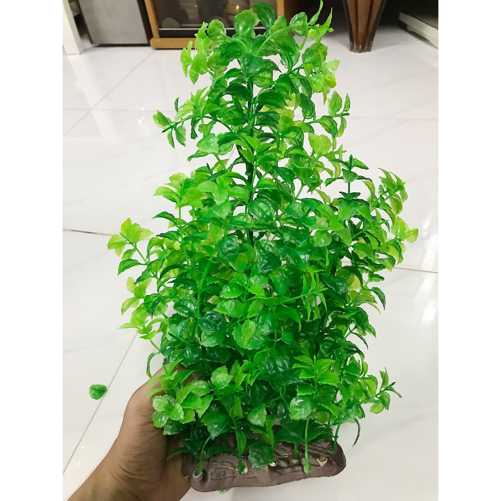 RONG GIẢ TRANG TRÍ HỒ CÁ NON BỘ CAO 38CM