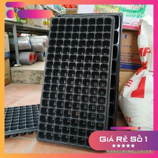 Combo 5 khay ươm hạt giống, cây con