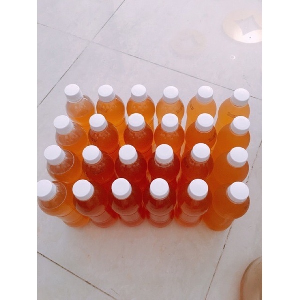 Trà Kombucha F1 Nguyên Chất - Trà lên men vi sinh chứa probiotics bảo vệ sức khoẻ - Chai nhựa 950ml