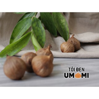Tỏi Đen Umami